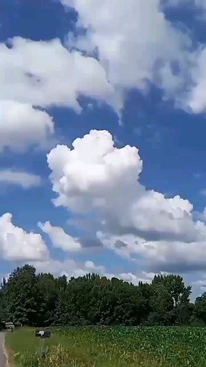 Video post by @alyshiafaith on Instagram