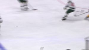 Video post by @mnwild on Twitter