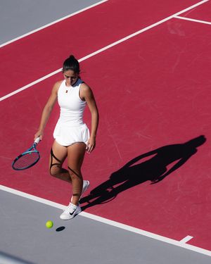 Image post by @razorbackwten on Instagram