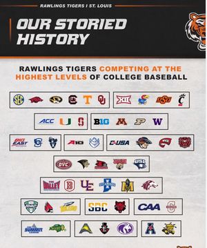 Image post by @rawlingstigers on Instagram