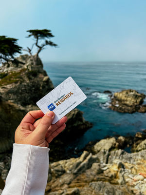 Image post by @bestwestern on Instagram