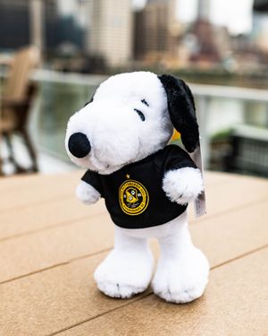 Image post by @riverhoundssc on Instagram