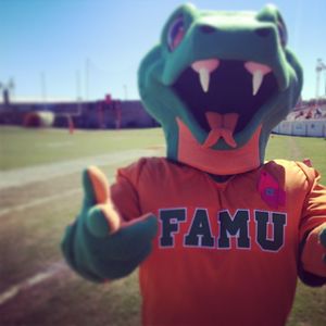 Image post by @famuathletics on Instagram