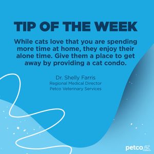 Image post by @petco on Instagram