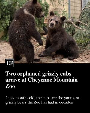 Image post by @denverpost on Instagram