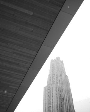 Image post by @pittofficial on Instagram