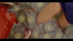 Image post by @txstatefootball on Instagram