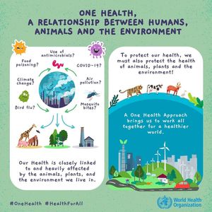 Image post by @who on Instagram