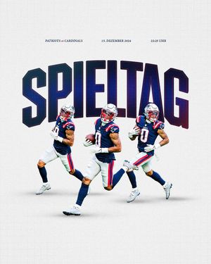 Image post by @patriotsdeutschland on Instagram