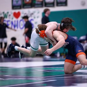 Image post by @plaidsheepcreative on Instagram