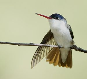 Image post by @hm_birds on Instagram