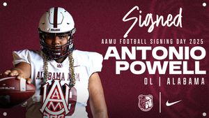 Image post by @aamufb on Instagram