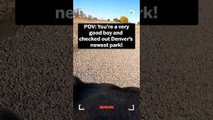 Video post by @denver8tv on YouTube