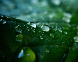 Image post by @lathanuelf_photos on Instagram