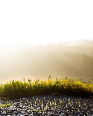 Image post by @chrislholder on Instagram