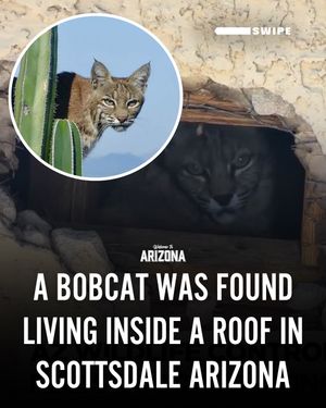 Image post by @welcometoarizona on Instagram