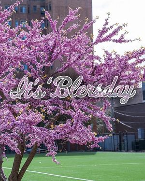 Image post by @loyolaramblers on Instagram