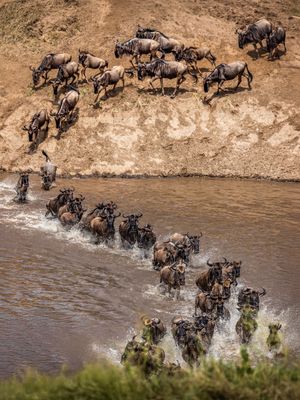 Image post by @discovery on Instagram