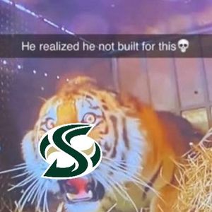 Image post by @emubarstool on Instagram