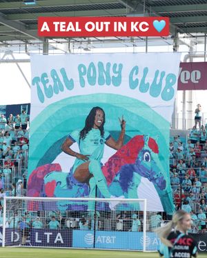Image post by @nwsl on Instagram