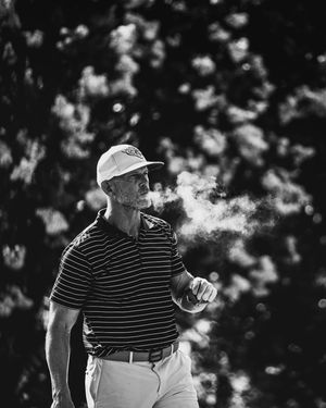 Image post by @wildwoodgreengc on Instagram