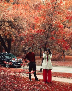 Image post by @wisdm on Instagram