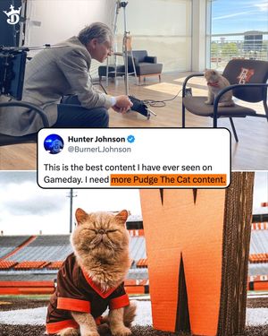 Video post by @draftkings on TikTok