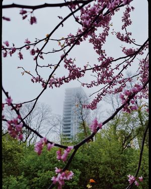 Image post by @vsco on Instagram