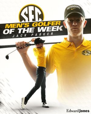 Image post by @ngougasdesign on Instagram