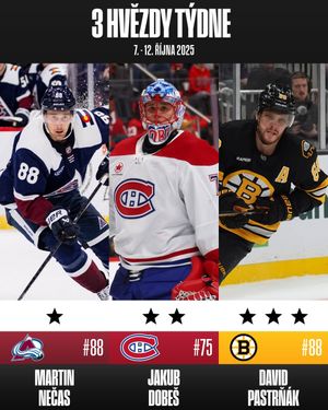 Image post by @nhlcesko on Instagram