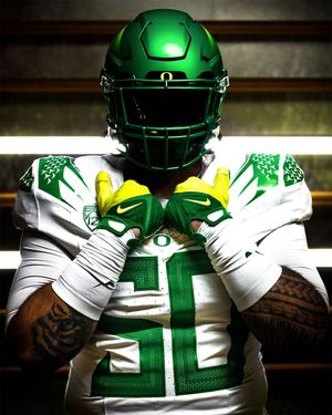 Image post by @goducks on Instagram