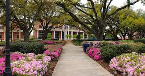 Image post by @jacksonstateu on Instagram