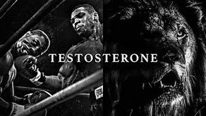 Video post by @motiversity on YouTube