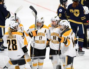 Image post by @adrianwhockey on Instagram