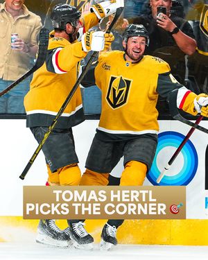 Image post by @nhl on Instagram