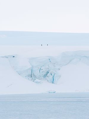 Image post by @white.desert.antarctica on Instagram