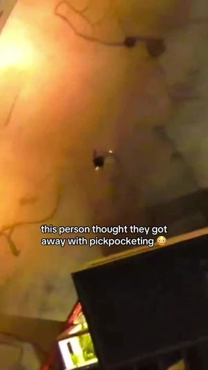 Video post by @flocksafety on TikTok