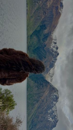 Video post by @sabbyjeyxx on Instagram
