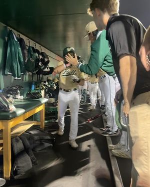 Image post by @usfbaseball on Instagram