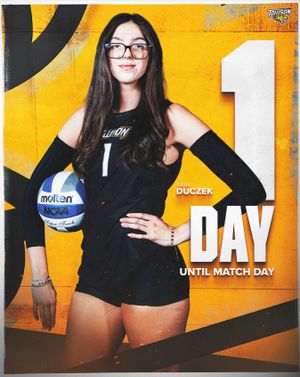 Image post by @towsontigersvb on Instagram
