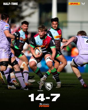 Image post by @harlequins on Instagram