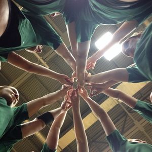 Image post by @wsuvball on Instagram
