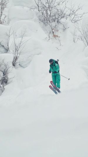 Video post by @thenorthface on TikTok