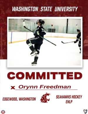 Image post by @wsu_hockey_ on Instagram