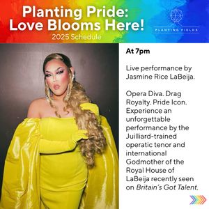 Image post by @jasminericenyc on Instagram