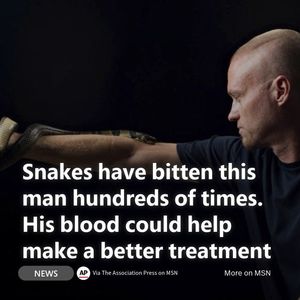 Image post by @msn on Instagram