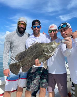 Image post by @jdmartinez28 on Instagram