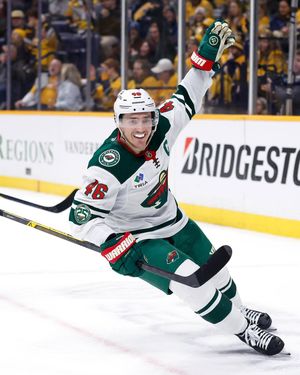 Image post by @minnesotawild on Instagram