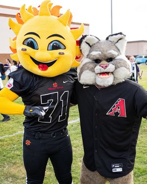 Image post by @fiesta_bowl on Instagram