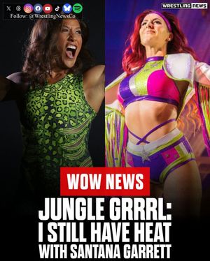 Image post by @wrestlingnewsco on Instagram